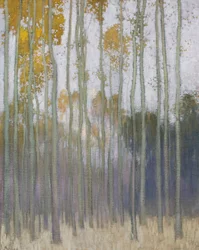 Bosque (sol de la mañana)